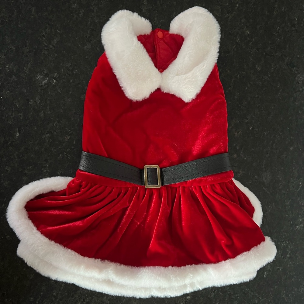 Doggy Santa Mrs. Claus Christmas outfit